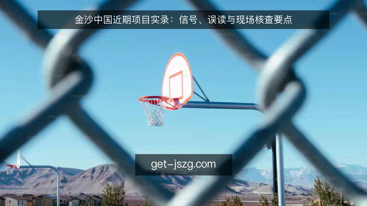 金沙中国近期项目实录：信号、误读与现场核查要点